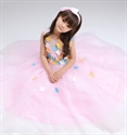 Изображение Show Girls Tulle Appliqued Softest Birthday Wedding Pageant Princess Dress