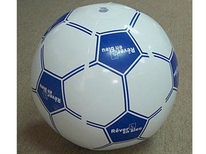 Picture of Beach Ball