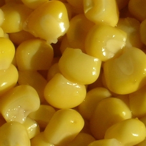 Picture of Canned corn
