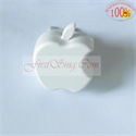 FirstSing FS21128 USB Power Charger for iPhone 3G/iPhone/iPod の画像