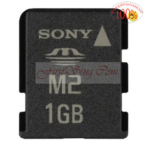 Picture of FirstSing FS03018 Sony 1 GB Memory Stick Micro (M2) Flash Memory Card