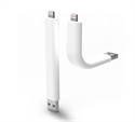 Image de Trunk Charging Cable Lightning