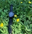 Image de Waterproof Smart Watch spO2 Monitor Anti-lost Stopwatch Fitness Sports