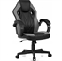 Picture of Gaming Chair Ergonomic Rotating Office Chair