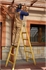 Picture of Woodland Ladder Standard 2X5 Rung Woodland