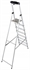 Ladder 1x8 3.70m with Shelf の画像