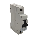 Picture of Magnetothermal Fuse 63A Compatible with Furious