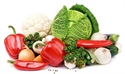 食疗·瓜果蔬菜