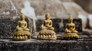 Picture of There are seven items in the Buddhist scriptures that are profitable and profitable
