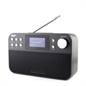 Firstsing DAB FM RDS Wavebands Radio Stereo Receiver 2.4 inch Black White TFT-LCD