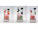 50ml Innovative and Stylish Design Fragrance Reed Diffuser with Cexquisite Design の画像