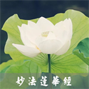 THE LOTUS SUTRA の画像