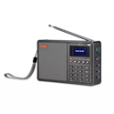 BlueNEXT Mini Portable DAB Digital Radio Receiver Supports TF Card USB SD MP3 Format FM Radio Function/Built-in Battery GTMedia D1 の画像