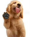 Pet Dog Heat Resistant Anti-scald Pet Paw Stickers Silicone Non-Slip Anti-dirty Patch Protector の画像