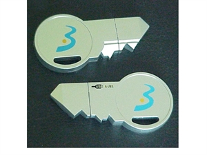 Picture of Key flash memory