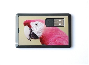 Picture of USB Flash memory
