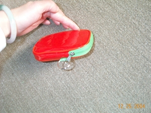 Picture of PVC Hand Bag