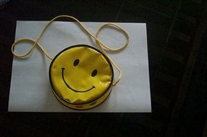 Picture of PVC Hand Bag