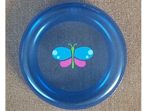 Picture of Inflatable Frisbee