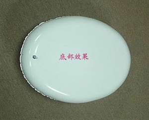 Picture of Inflatable Frisbee