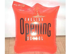 Picture of Inflatable Beach Bag