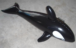 Image de Inflatable Fish and Water Animal