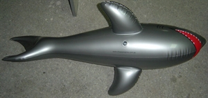 Image de Inflatable Fish and Water Animal