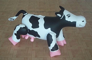 Picture of Inflatable Animal