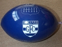 Picture of Beach Ball