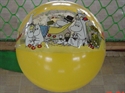 Picture of Beach Ball