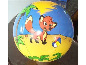 Picture of Beach Ball