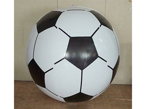 Picture of Beach Ball