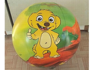 Picture of Beach Ball