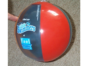 Picture of Beach Ball