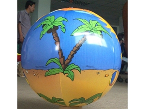 Picture of Beach Ball