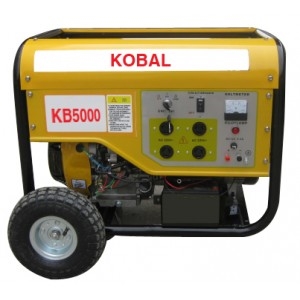 Picture of Gasoline Generator (NB2600DXE-2)