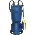 WQD Sumersible Pump With Float Switch の画像