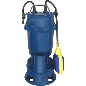 Image de WQD Sumersible Pump With Float Switch