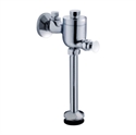Image de Urinal flush valve