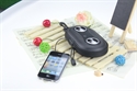 iPhone MP3 Smart Phone Portable Amplified Stereo Speaker Case の画像