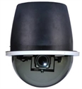 Picture of 9 Inch Speed Dome Camera Indoor application