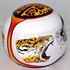 Picture of F1 RACING  helmet  FS-043