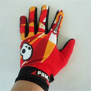 Picture of HC Sports glove FS202