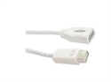 Изображение Mini DVI to HDMI A female Cable