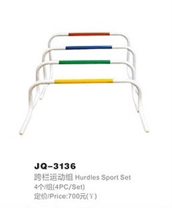 Image de Hurdles sport set