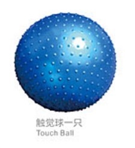 Picture of Touch ball