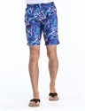 Picture of mens board shorts