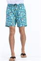 Picture of mens beach shorts