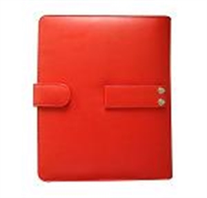 Image de Leather Case for iPad