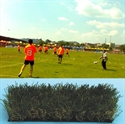 Picture of Artificial turf